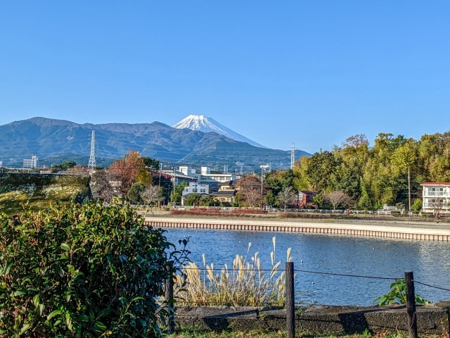 沼津港