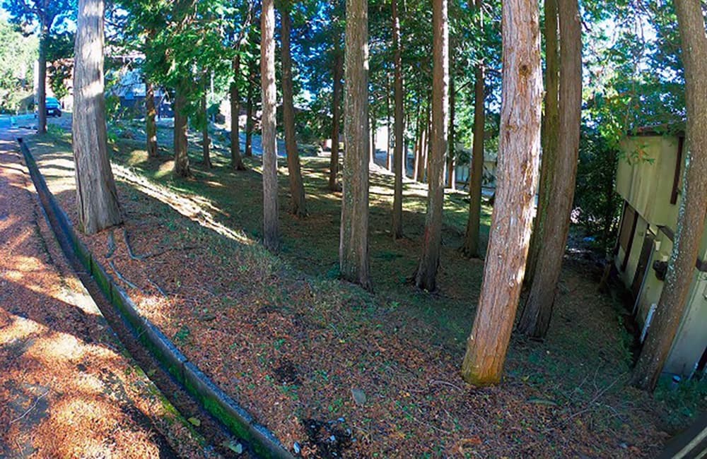 売土地　沼津市足高439.04㎡（132.80坪）
